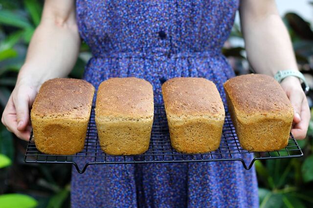 Sourdough Bread